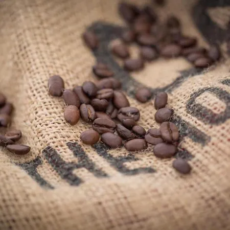 Rynek - Olawska - 50 Metrow Do Rynku - Old Market Square Apartman Wrocław