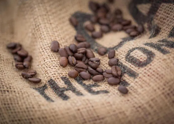 Rynek - Olawska - 50 Metrow Do Rynku - Old Market Square Апартаменты Вроцлав